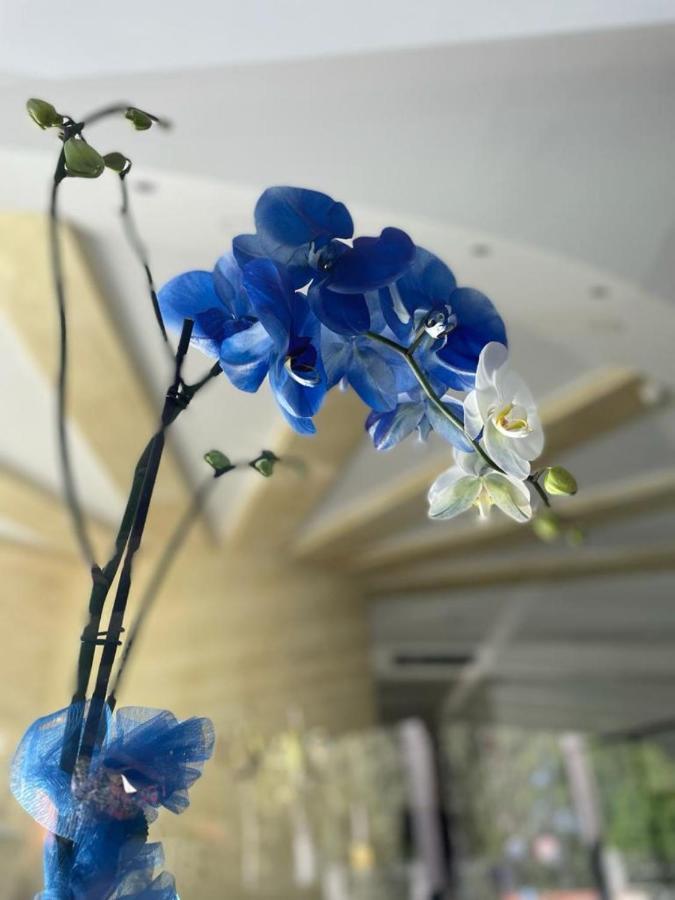 Oasi Park Hotel Mascali Ngoại thất bức ảnh
